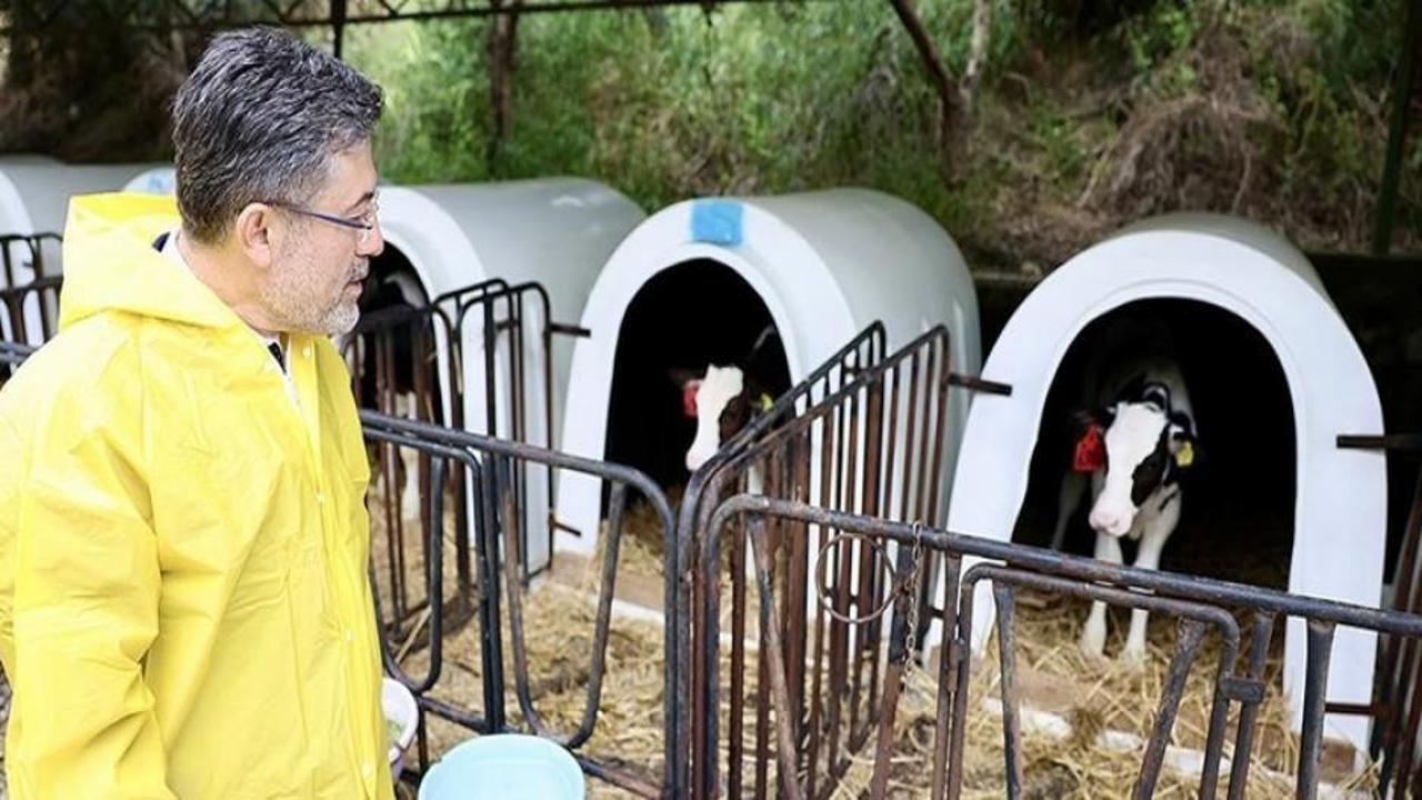 IPARD III Programı kapsamında 687 projeye 3,7 milyar lira hibe sağlanacak