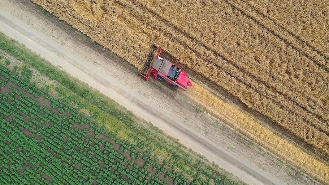 IPARD III Programı kapsamında 6'ncı başvuru çağrı ilanı yayımlandı