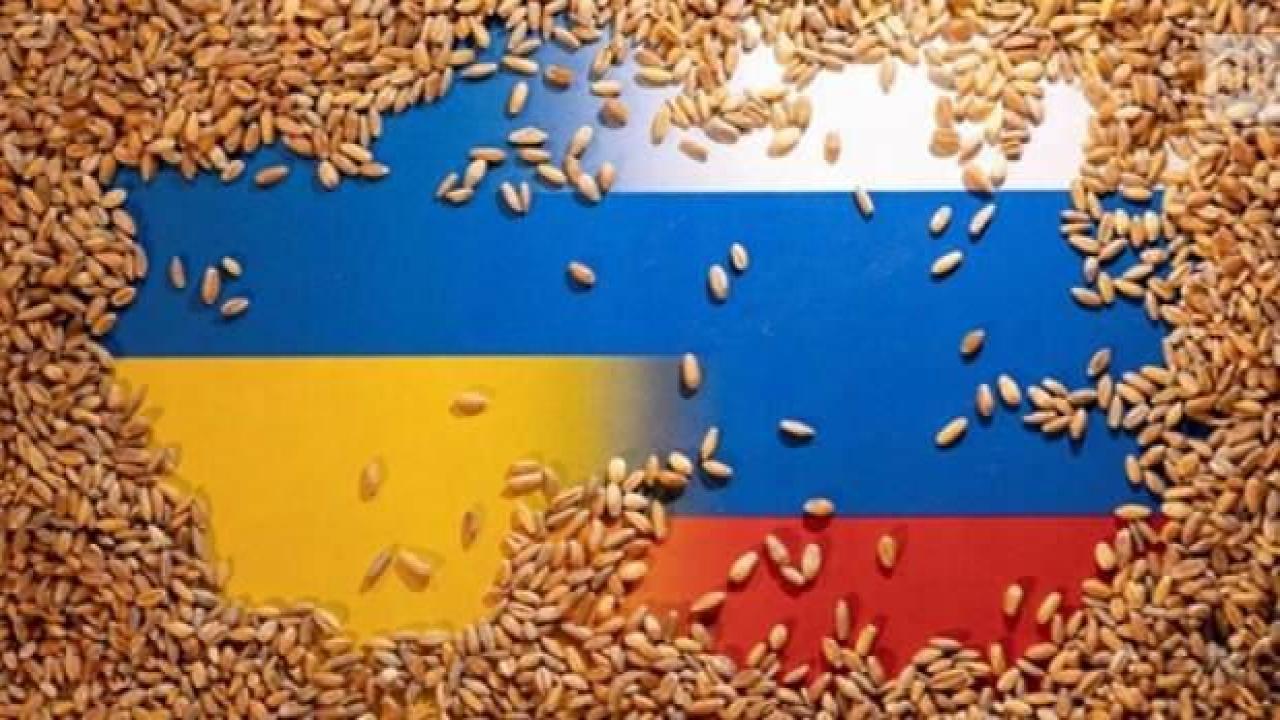 İran'dan tahıl koridoru açıklaması: Hazırız
