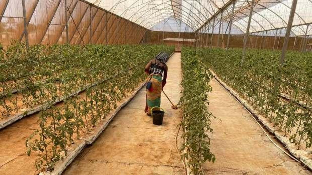 İsrail'de ekonomi batıyor! Afrika'dan işçi toplamaya başladılar
