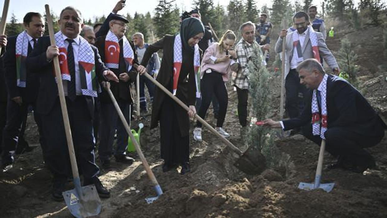 İsrail'in öldürdüğü gazeteciler için fidan dikildi