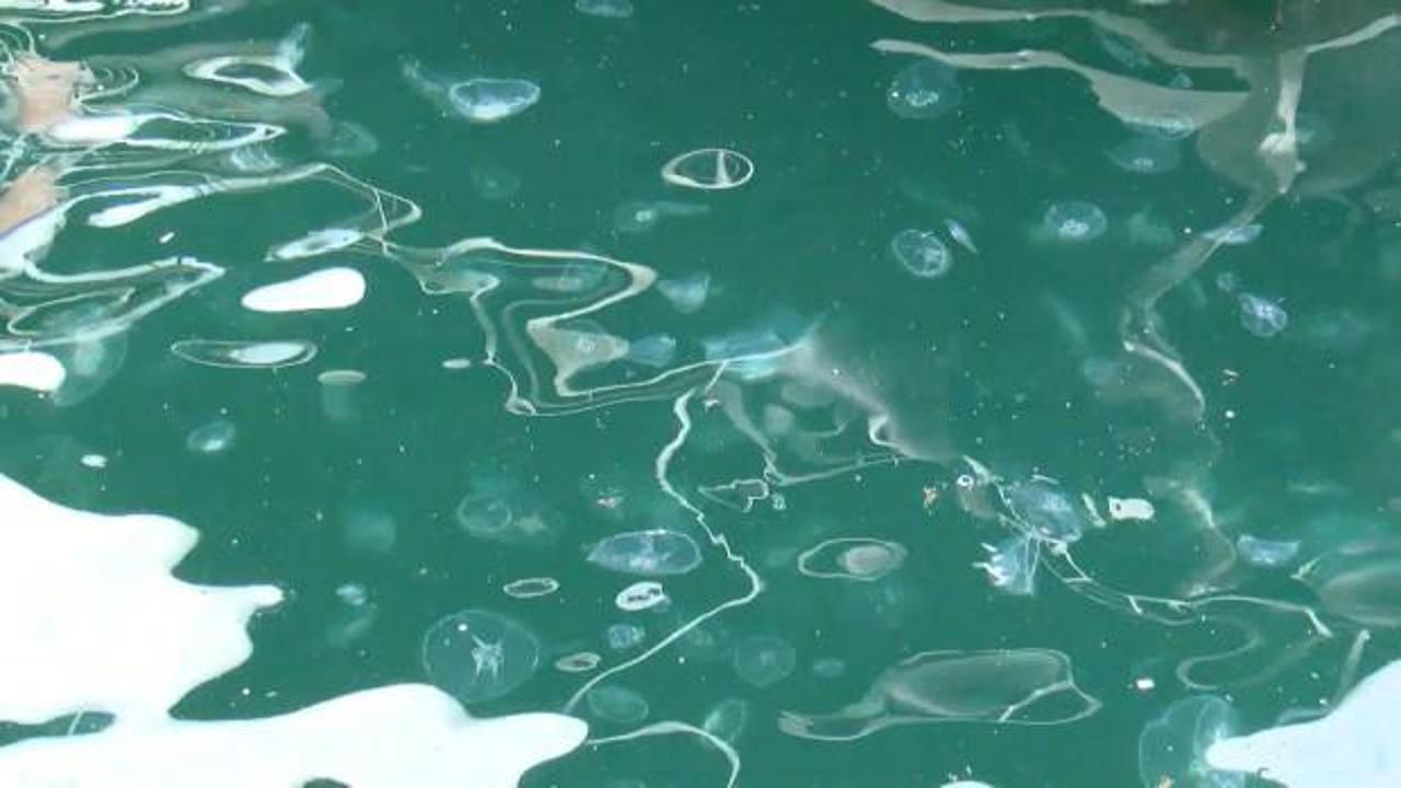 İstanbul Boğazı için tehlike: Sürekli artıyor