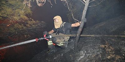 güne bakış haber