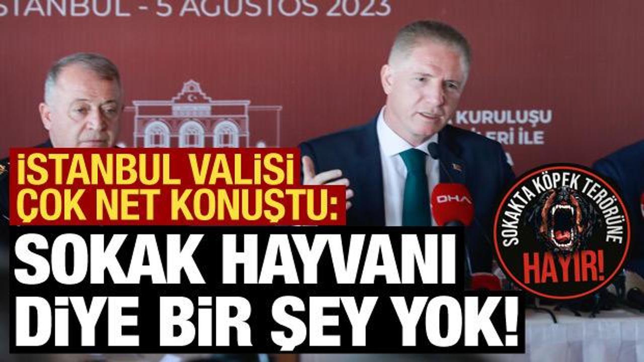 İstanbul Valisi Gül'den net açıklama: Sokak hayvanı diye bir şey yoktur!