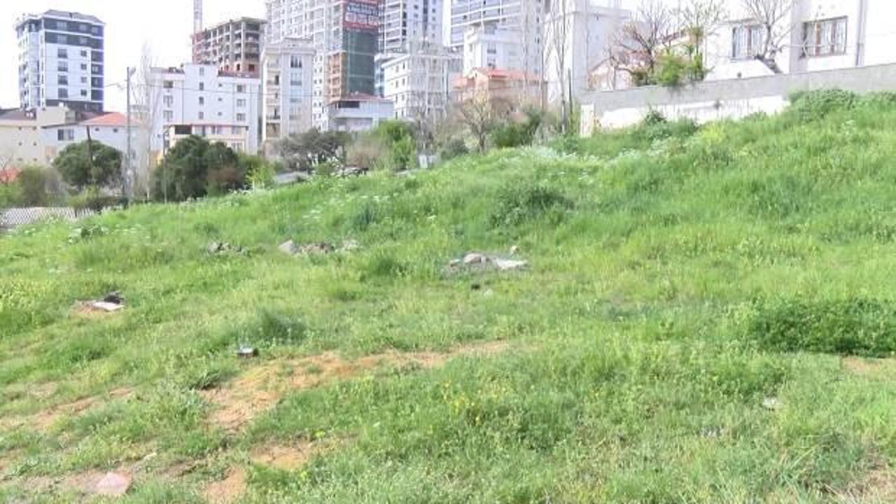 İstanbul'da sokak köpeği dehşeti: 7 yaşındaki Çağrı'ya 30 dikiş atıldı!