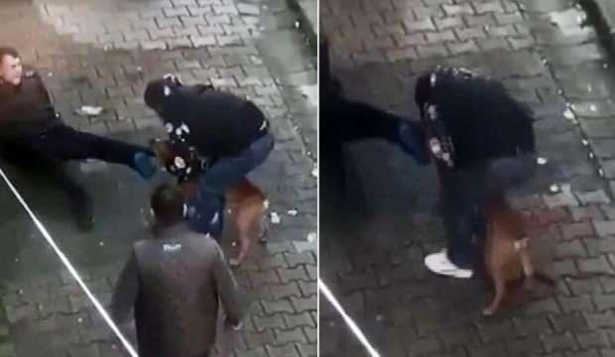 İstanbul'daki pitbull saldırısına ilişkin 2 kişi tutuklandı