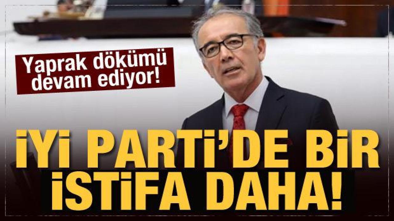 İYİ Parti'nin kurucularından Ahat Andican istifa etti!