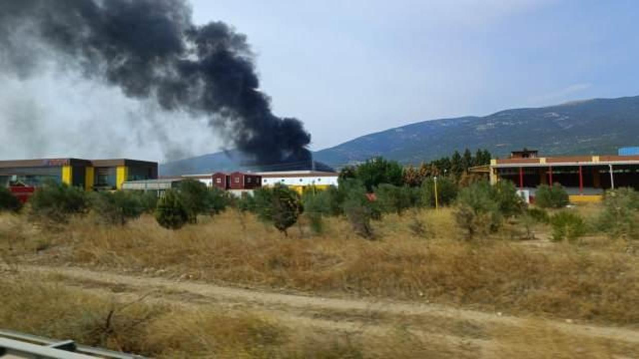 İzmir'de ahşap palet fabrikasında yangın