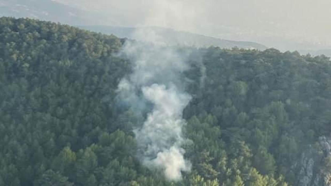 İzmir'de orman yangını: 58 dakikada kontrol altına alındı