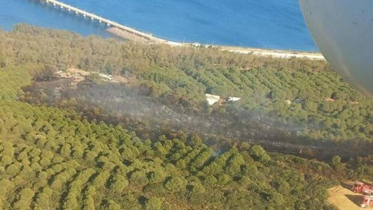 İzmir'de orman yangını çıktı