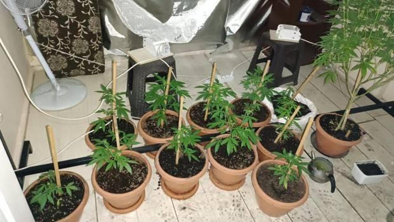 İzmir'de zehir tacirlerine baskın