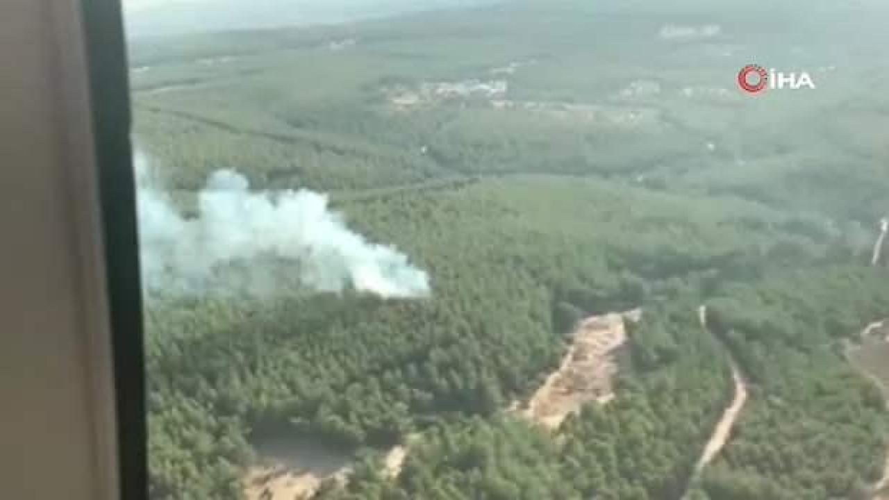 İzmir’deki orman yangını kontrol altına alındı