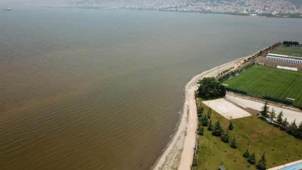 İzmit Körfezi derelerden akan sularla çamur rengini aldı