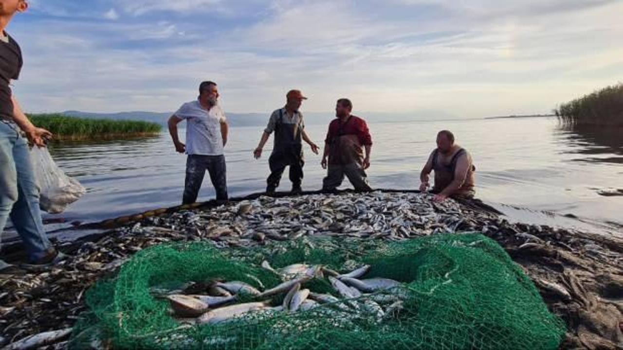 İznik Gölü'nde av sezonu balık bolluğuyla başladı