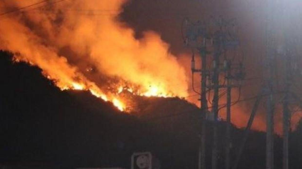 Japonya'da alevler gün geçtikçe artıyor... Bir eyalet daha alevlere teslim oldu