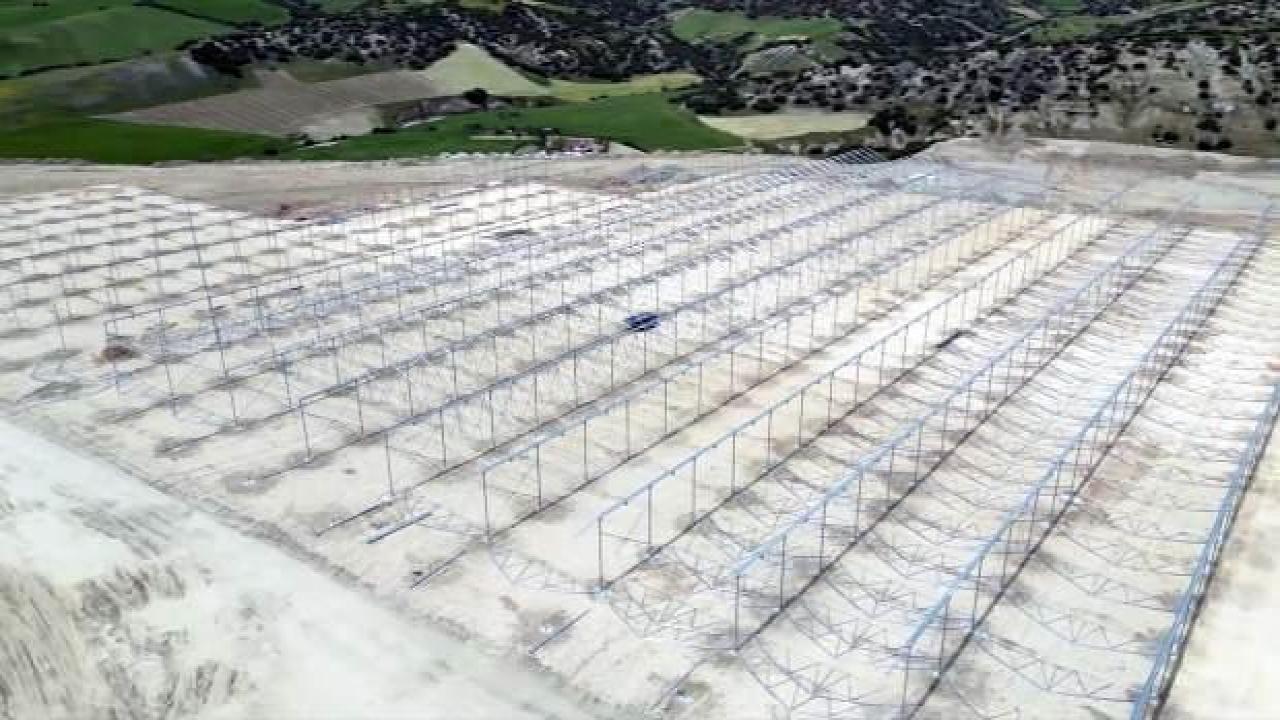 Jeotermal serada 2 bin ton domates üretilecek