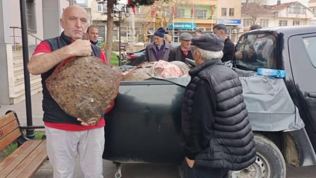 Kaçak avlanan 200 kalkan balığı halka dağıtıldı
