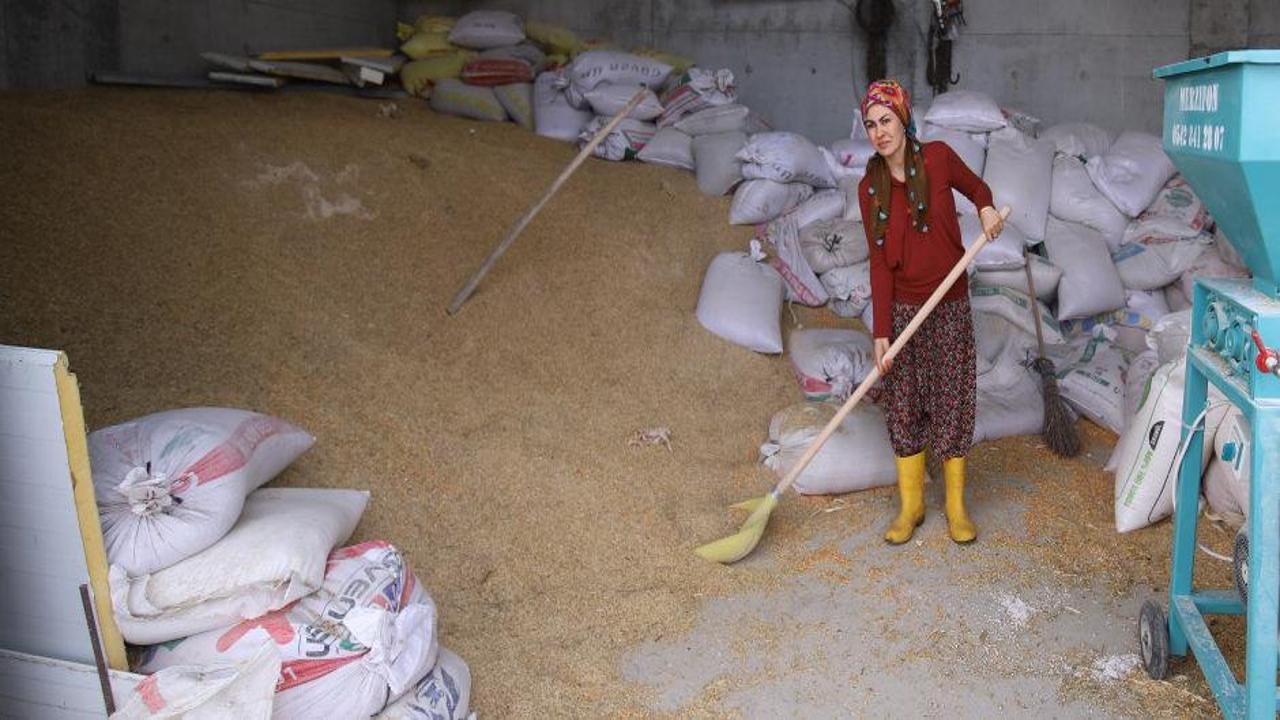 Kadın girişimci 700 bin lira hibeyle 100 büyükbaş kapasiteli besi çiftliği kurdu