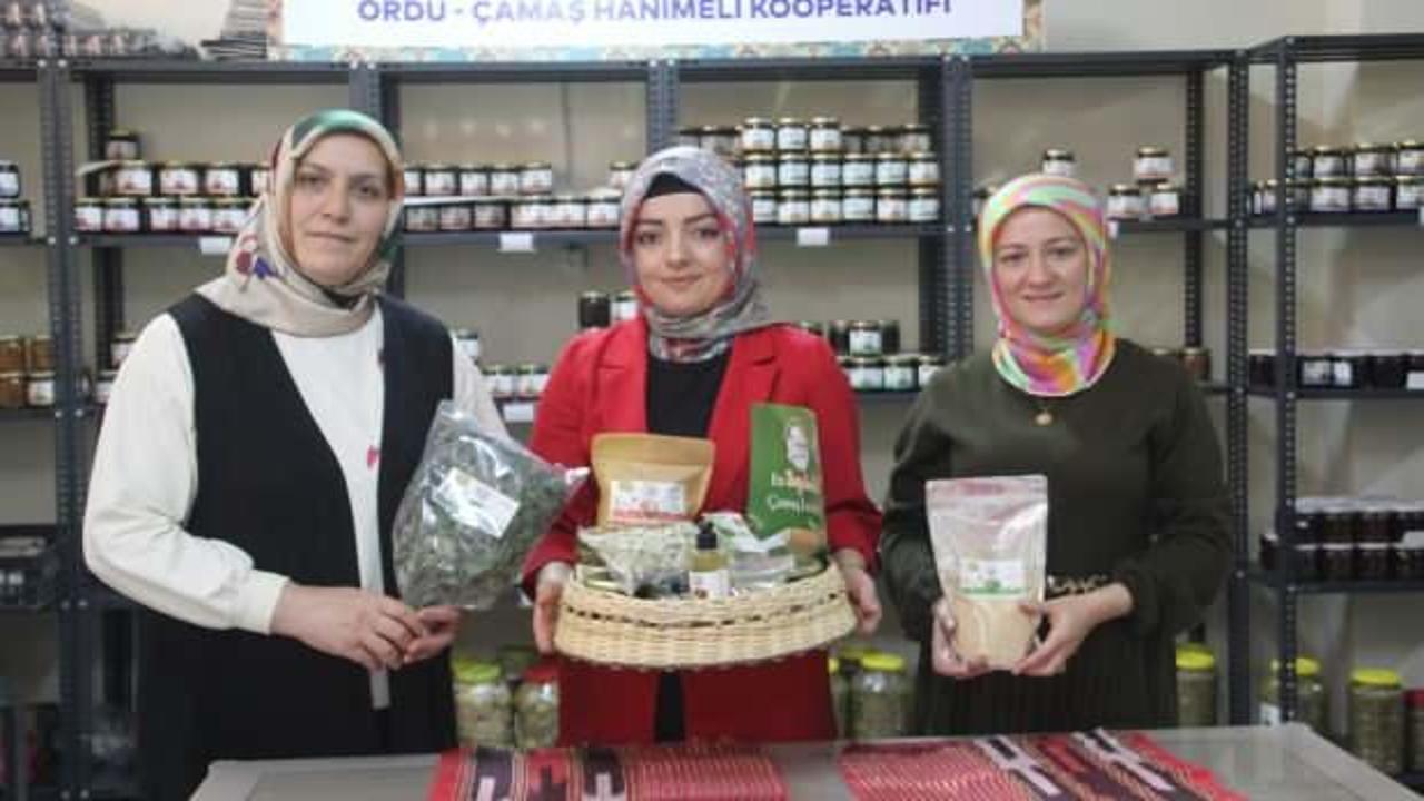 Kadınlar kurdukları kooperatif ile 160 çeşit ürün üretip ekonomiye katkı sağlıyor