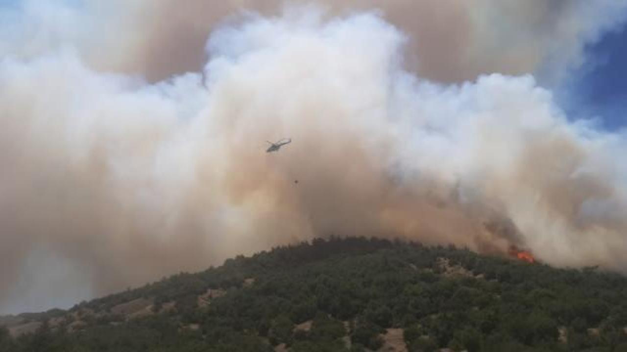 Kahramanmaraş'ta orman yangını