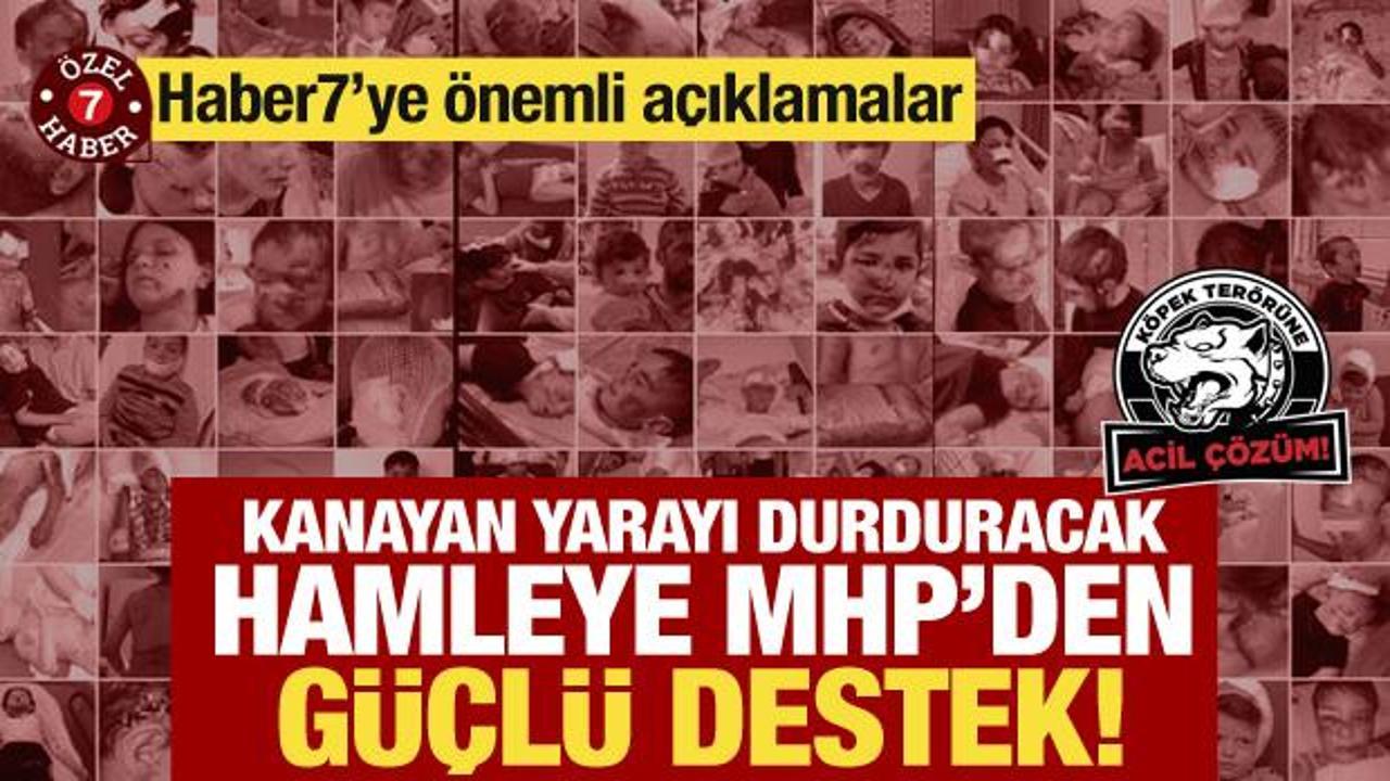 Kanayan yarayı durduracak kanun teklifine MHP’den destek! Haber7’ye önemli açıklama