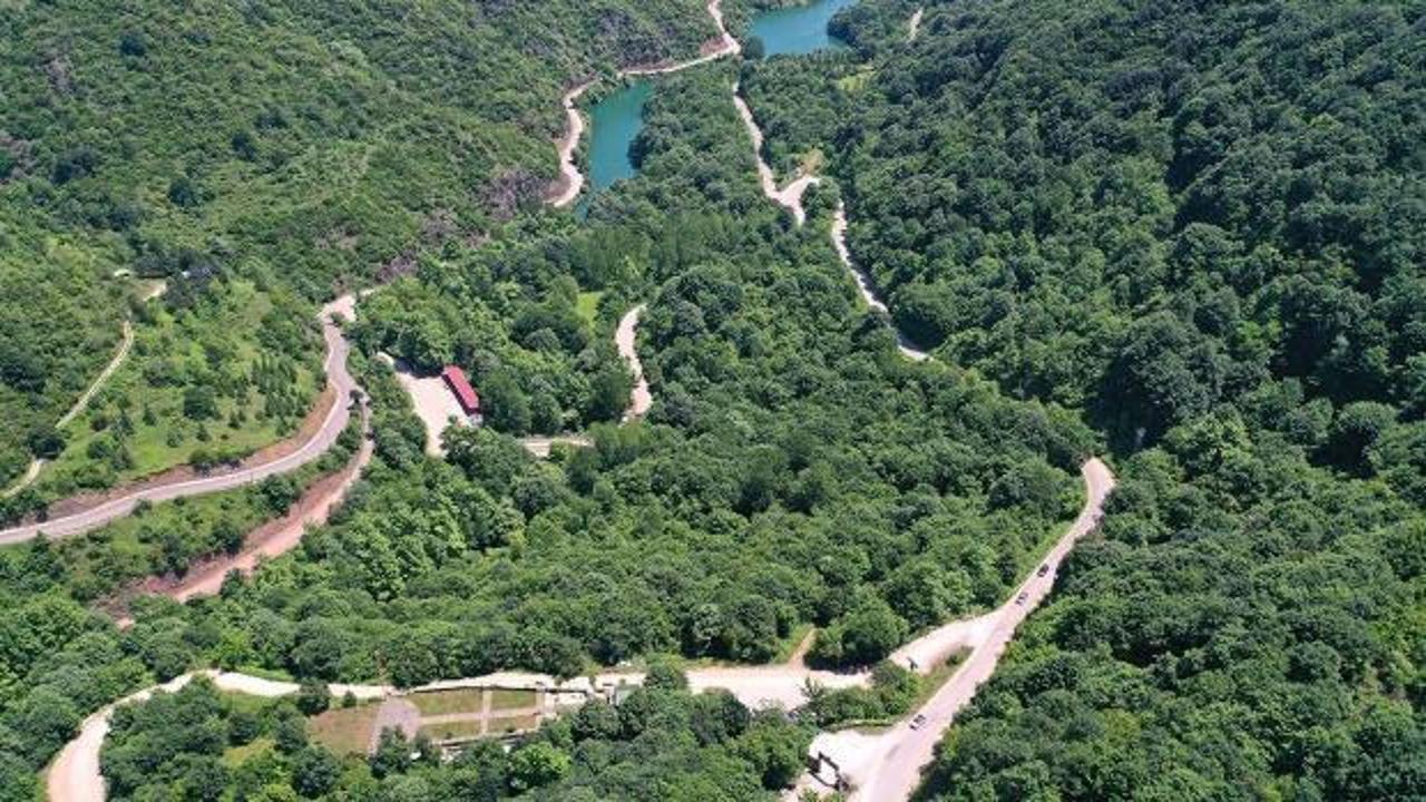 Kandıra'da ormanlık alanlara girişler yasaklandı