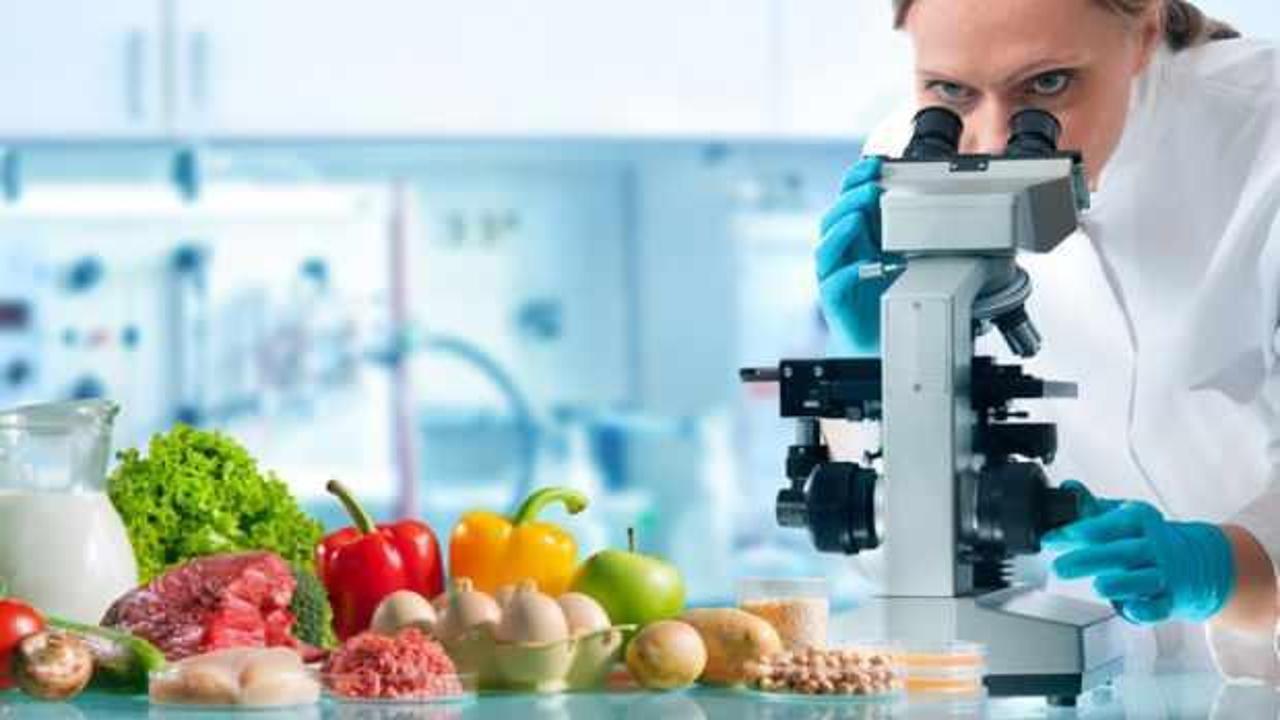 Kanser riskini %30 azaltıyor! İşte bu 10 besin zırh gibi koruma altına alıyor