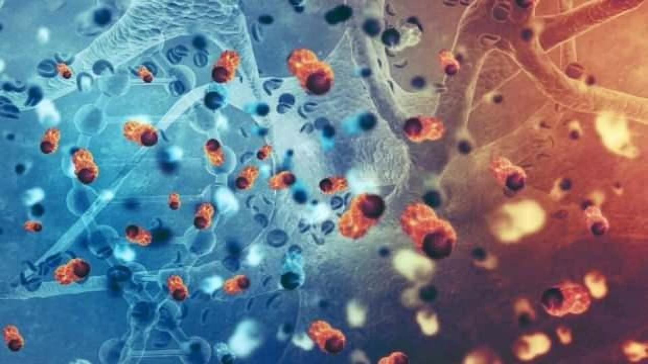 Kanser tedavisinde ilk! Bütün hastalar iyileşti