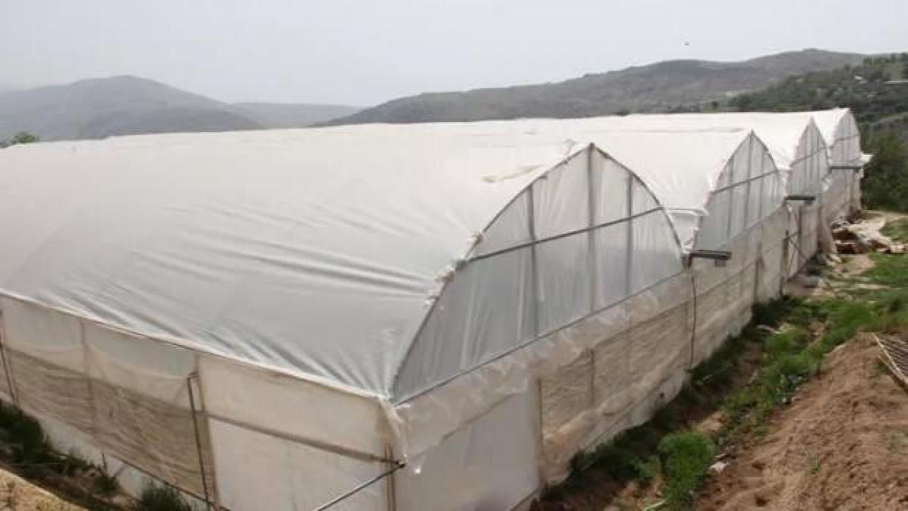 Kara kışta zarar gören seralar yeniden üretime geçti