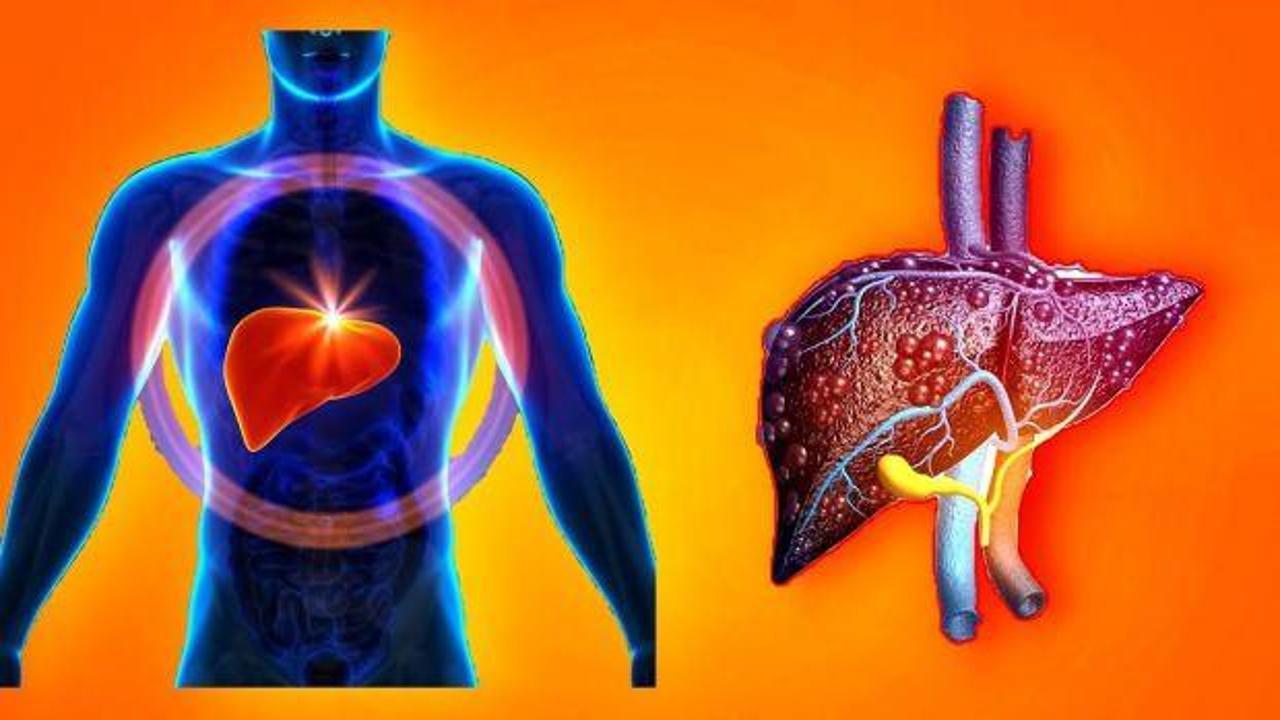 Karaciğeri en hızlı temizleyen 6 altın öneri! Beslenme ve Diyet Uzmanı açıkladı…