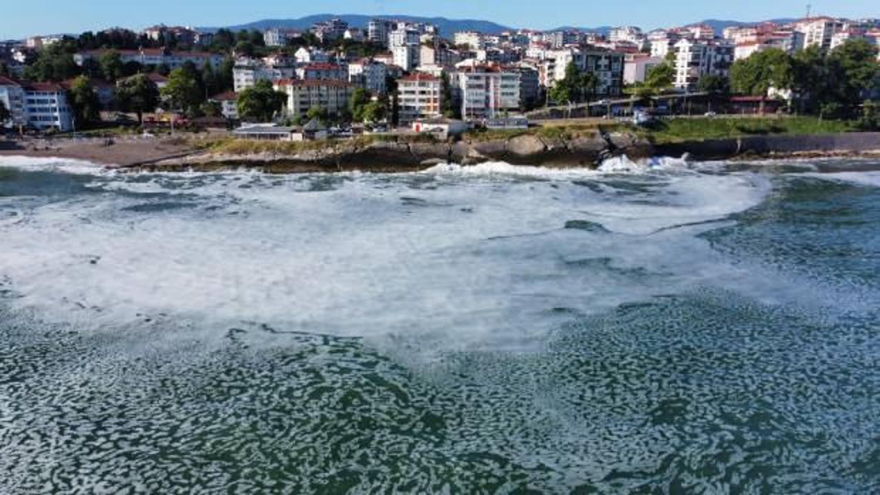Karadeniz’de müsilaj iddiası! Düzce Valiliği'nden açıklama