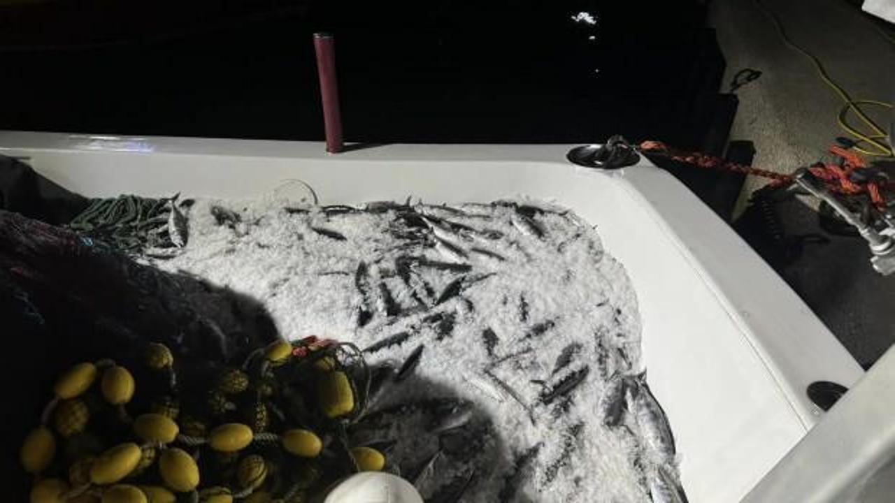 Karadeniz’de palamut bereketi