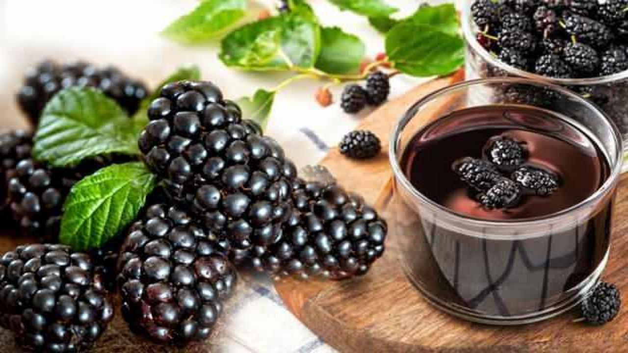 Karadut özünün faydaları nelerdir? Karadut özü ne kadar içilmelidir?