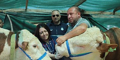 Kartal Belediyesi'nden Kurban Bayramı Öncesi Dev Hazırlık