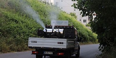 Kartal Belediyesi’nin Sivrisinek Mücadelesi Başladı