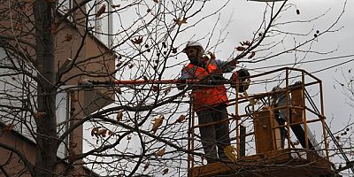 Kartal'da Budanan Ağaçlar İhtiyaç Sahiplerine Yakacak Olarak Geri Dönüyor