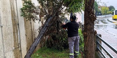 Kartal’da Fırtına Mesaisi: Belediye Ekipleri 7/24 Sahada