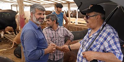 Kartal'da Kurban Satış ve Kesim Alanları Bayrama Hazır