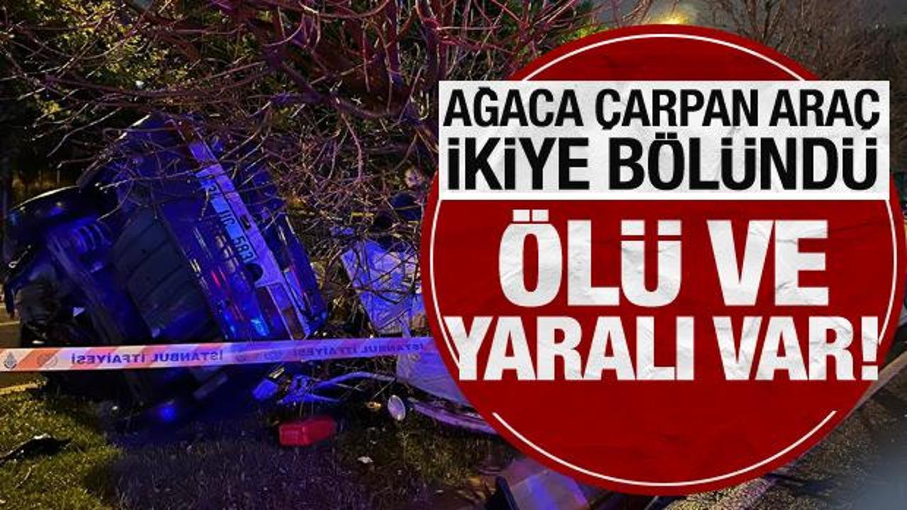 Kartal’da ağaca çarpan araç ikiye bölündü: Ölü ve yaralı var!