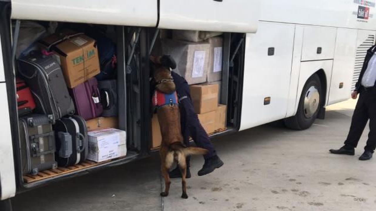 Kastamonu'da uyuşturucu operasyonu: 2 kişi tutuklandı