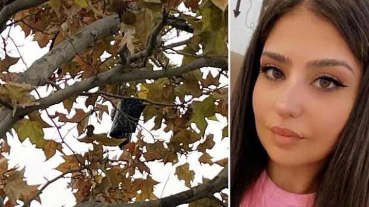 Kavşak projesi iptal edilen yolda ölen Gamze'nin çantası, ağaçta bulundu