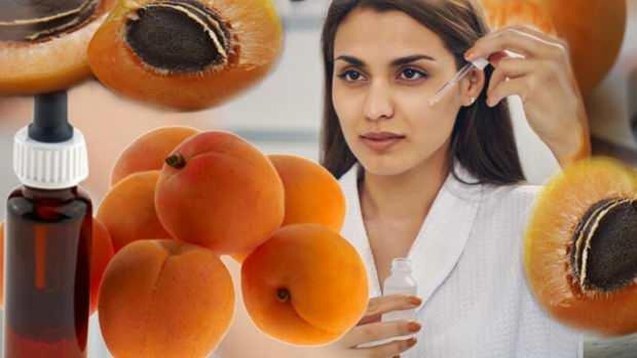 Kayısı yağı faydaları nelerdir? Kayısı yağı nasıl kullanılır, yüze uygulanır mı?