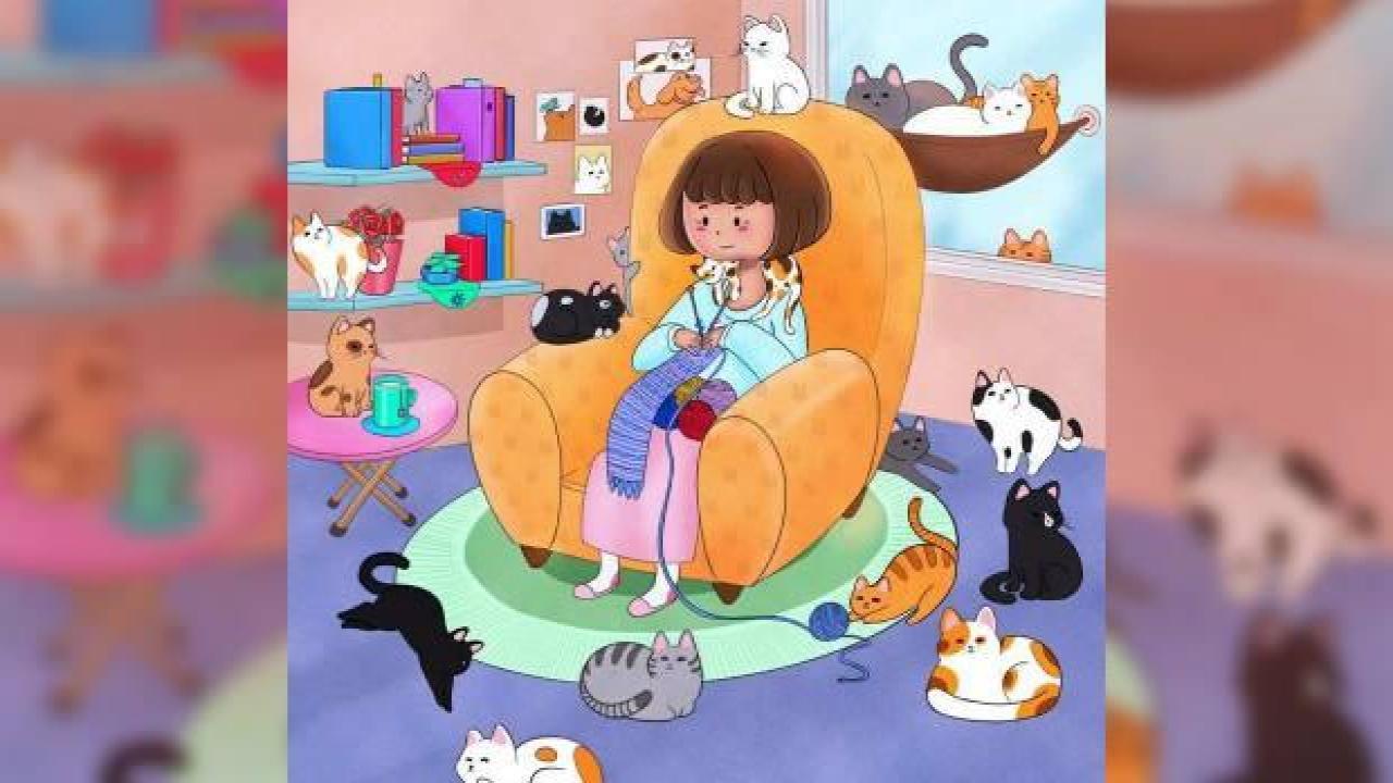 Kedilerin arasına gizlenmiş köpeği 6 saniyede sadece keskin bakışlılar görebiliyor! Dikkat ölçen zeka testi ile kendini kanıtla