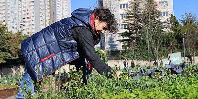 KENT BOSTANLARI BAŞVURULARI BAŞLIYOR