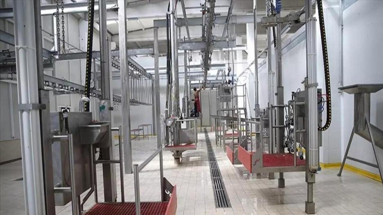 Kesimhanelere kamera zorunluluğu getiriliyor