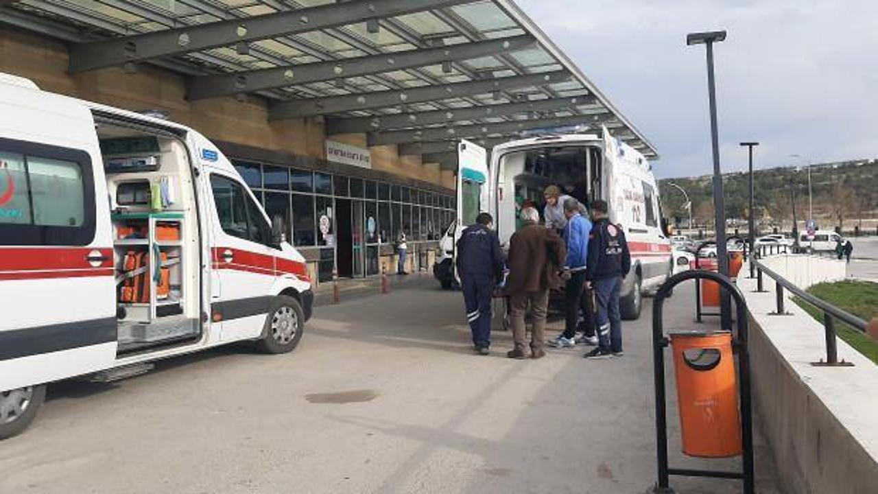Kestiği ağacın altında kalan kişi feci şekilde can verdi