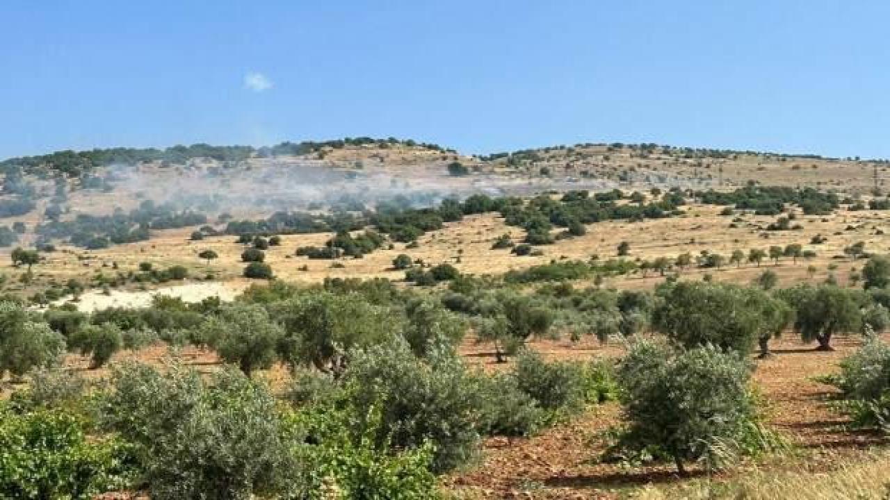Kilis'te çıkan orman yangını kontrol altında