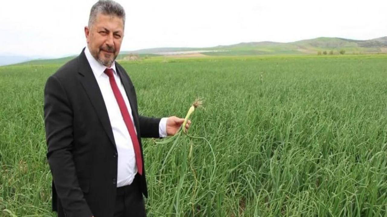 'Kırmızı altın' ekimi 3 kat arttı! Fiyatı 10 liraya düşecek