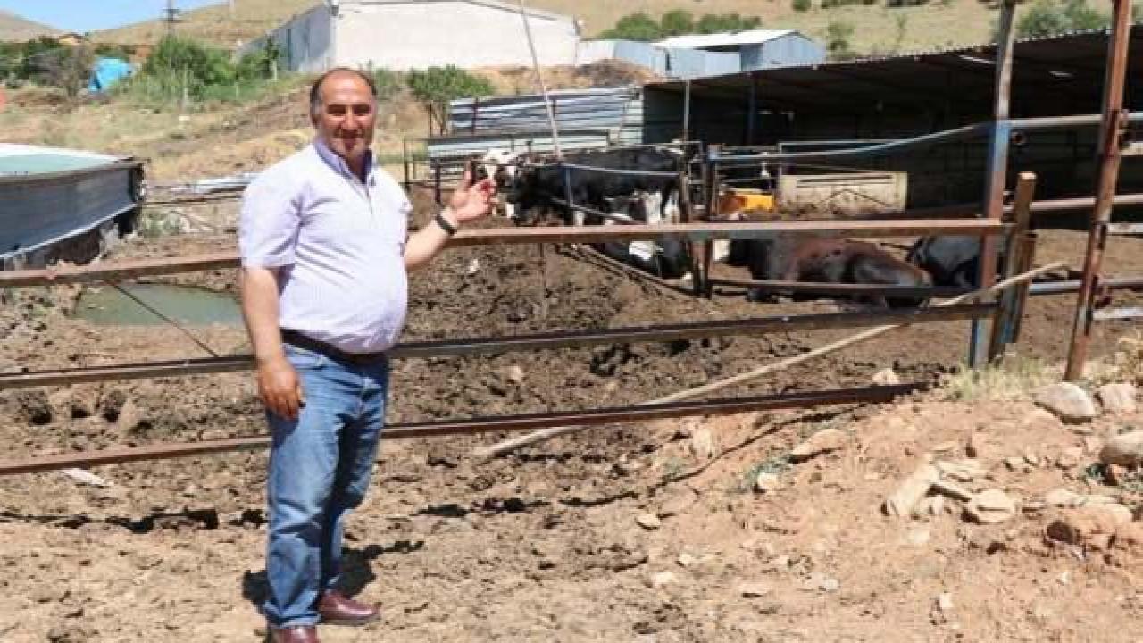 Kırşehirli Besici: 