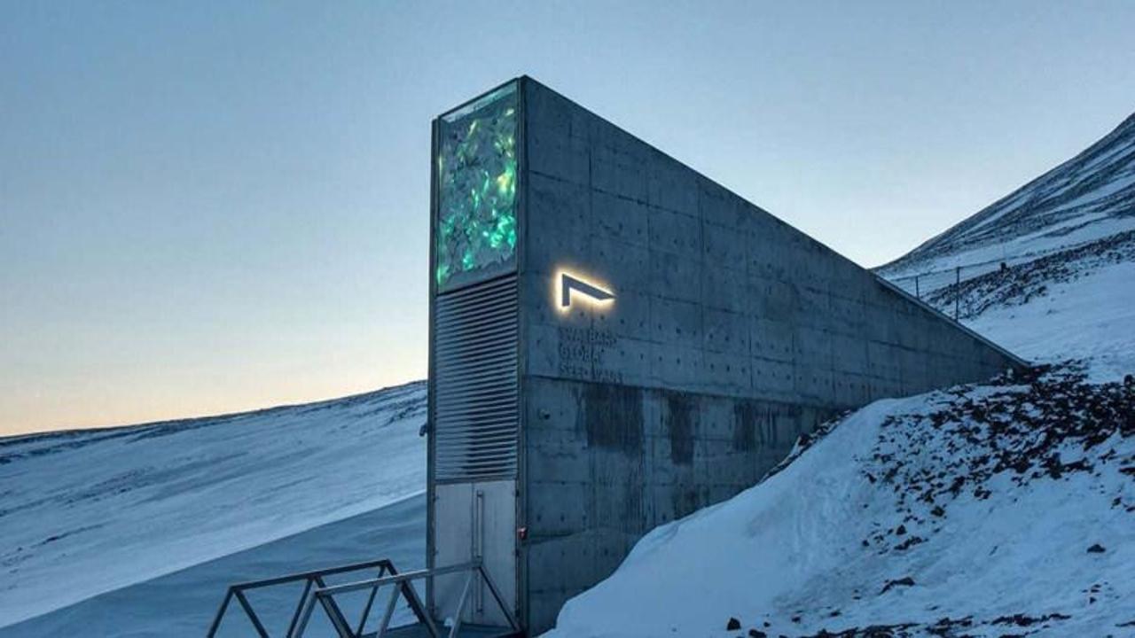 Kıyamet sığınağının içi görüntülendi! Kasaya 14 bin örnek daha eklendi...